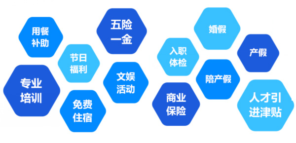 提供全面、系統(tǒng)、專業(yè)的培訓和廣闊的<br>職業(yè)發(fā)展空間和提升機會